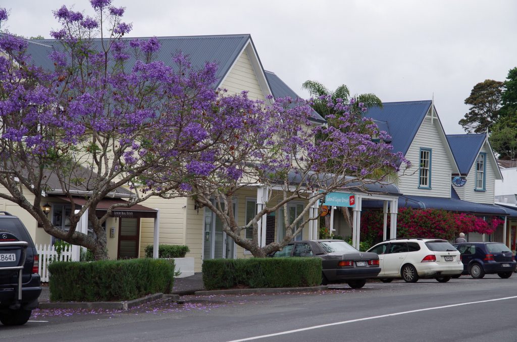 russell_nz